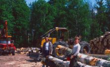 Arborist i Lerum: trygg trädvård nära naturen