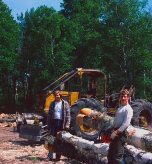 Arborist i Lerum: trygg trädvård nära naturen