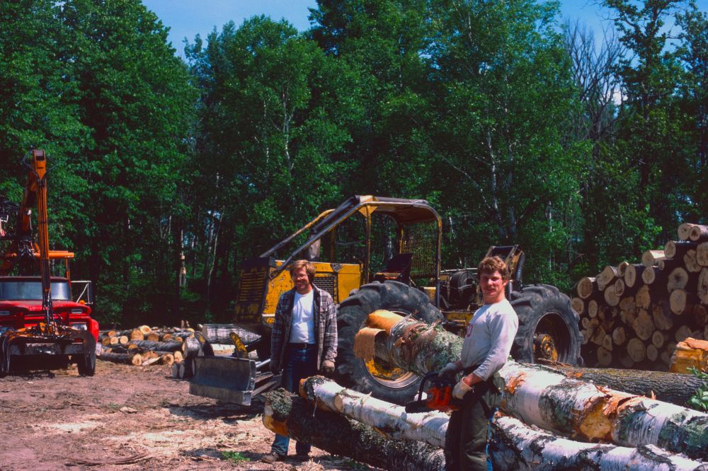 Arborist i Lerum: trygg trädvård nära naturen